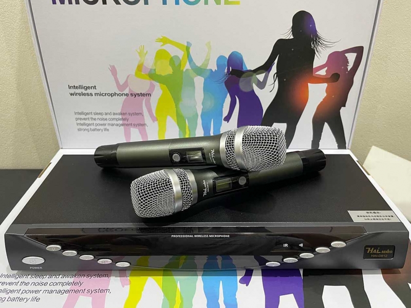 Bộ Microphone không dây Haiaudio HAI-D812